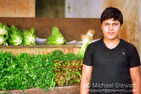 Beirut - Vegetable Boy